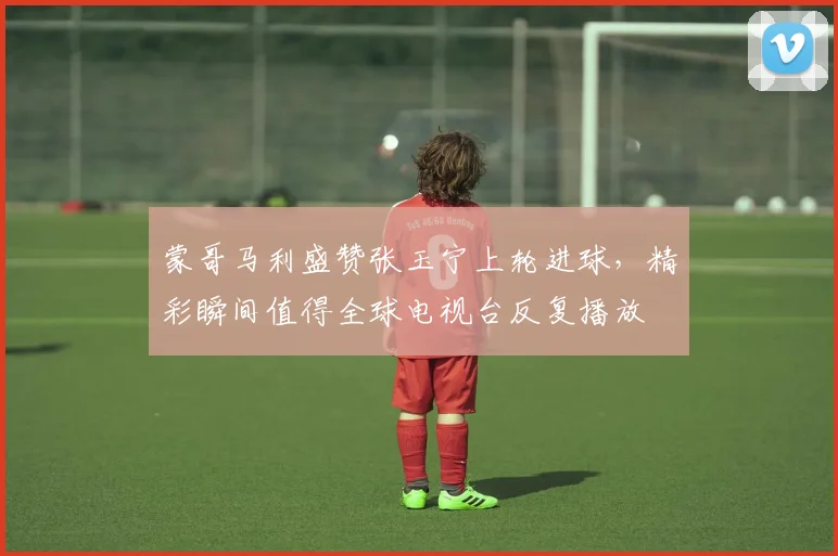 蒙哥马利盛赞张玉宁上轮进球,精彩瞬间值得全球电视台反复播放